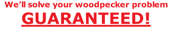 We’ll solve your woodpecker problem GUARANTEED!